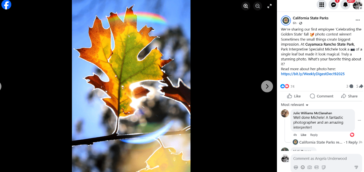 Screenshot 2025-12-22 160807.png