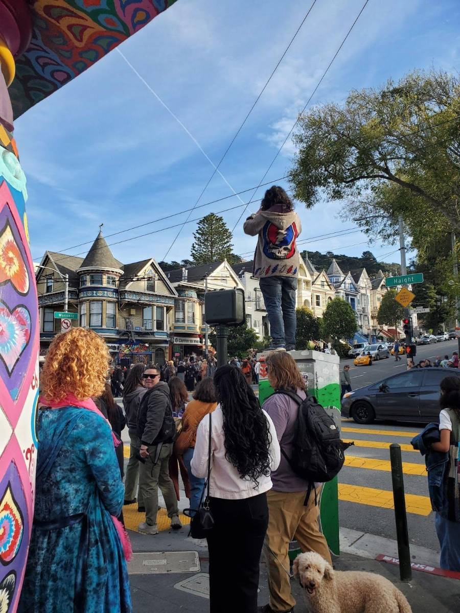 unnamed (6).jpg unnamed (6).jpg