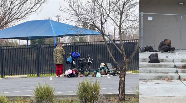 Screenshot 2026-01-26 120308.jpg