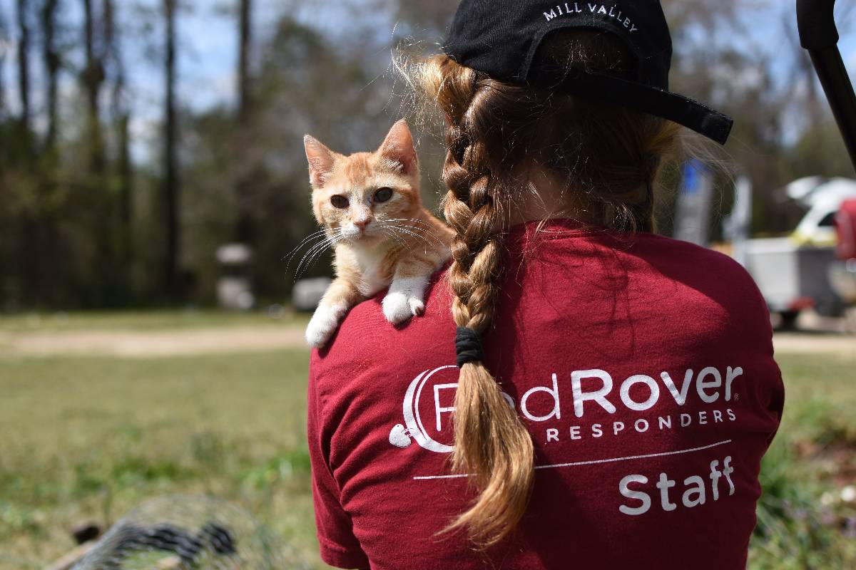 DSC_8253_2.jpg DSC_8253_2.jpg