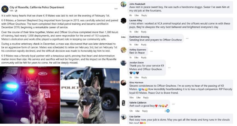 Screenshot 2026-02-03 153405.jpg