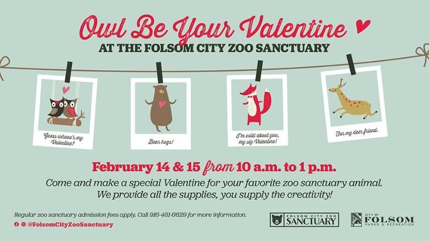 Screenshot 2026-02-11 132858.jpg