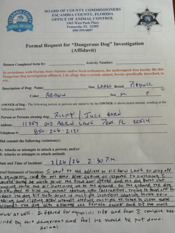 image_1772315476775_0.png image_1772315476775_0.png