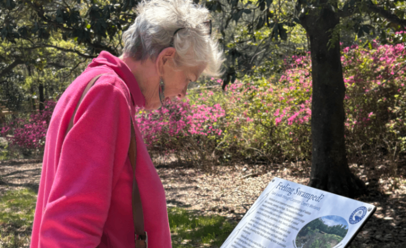 Screenshot 2026-03-19 150335.png Screenshot 2026-03-19 150335.png