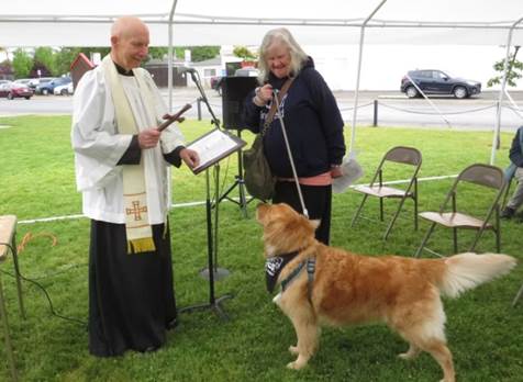 A picture containing grass, dog, outdoor, standing
AI-generated content may be incorrect.