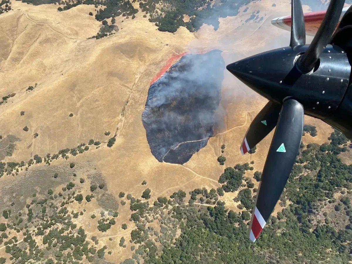 aerial view.webp