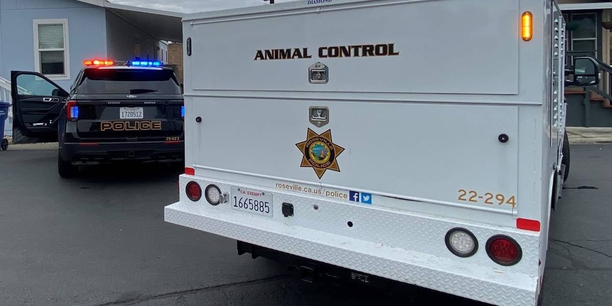 Animal Control.jpg