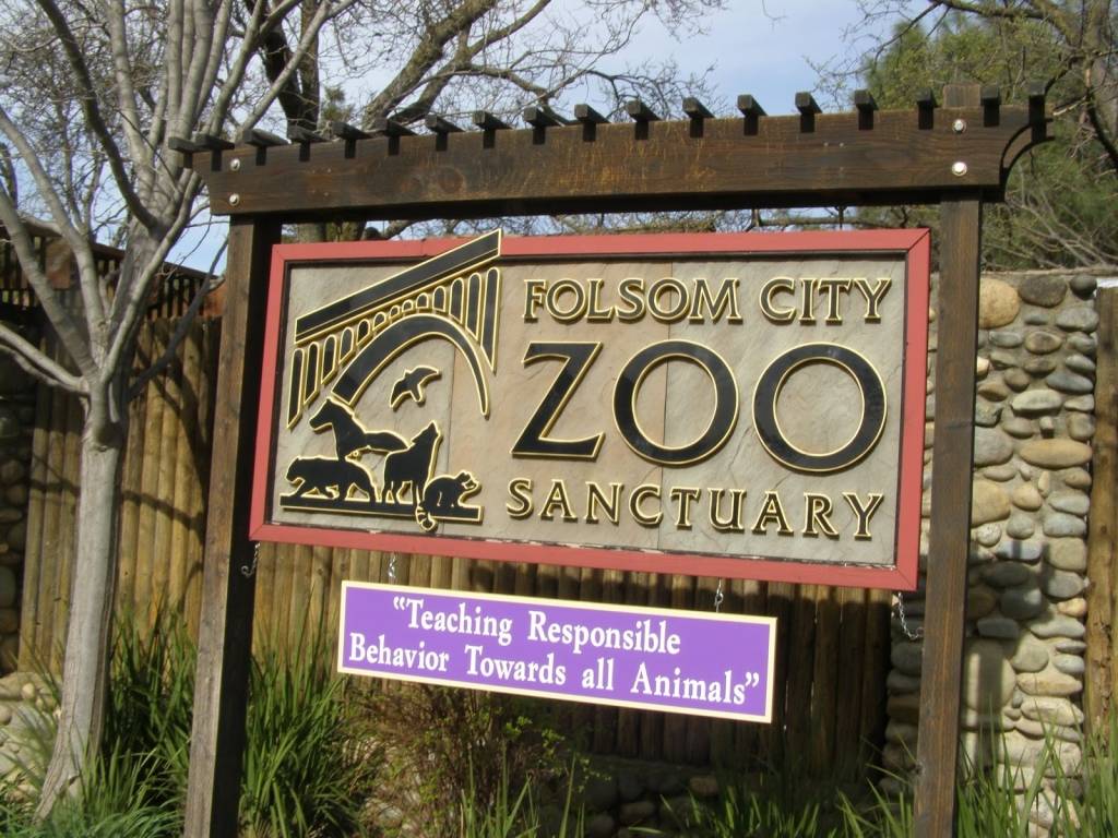 383-Folsom-City-Zoo-Sanctuary-KJ87a.jpg