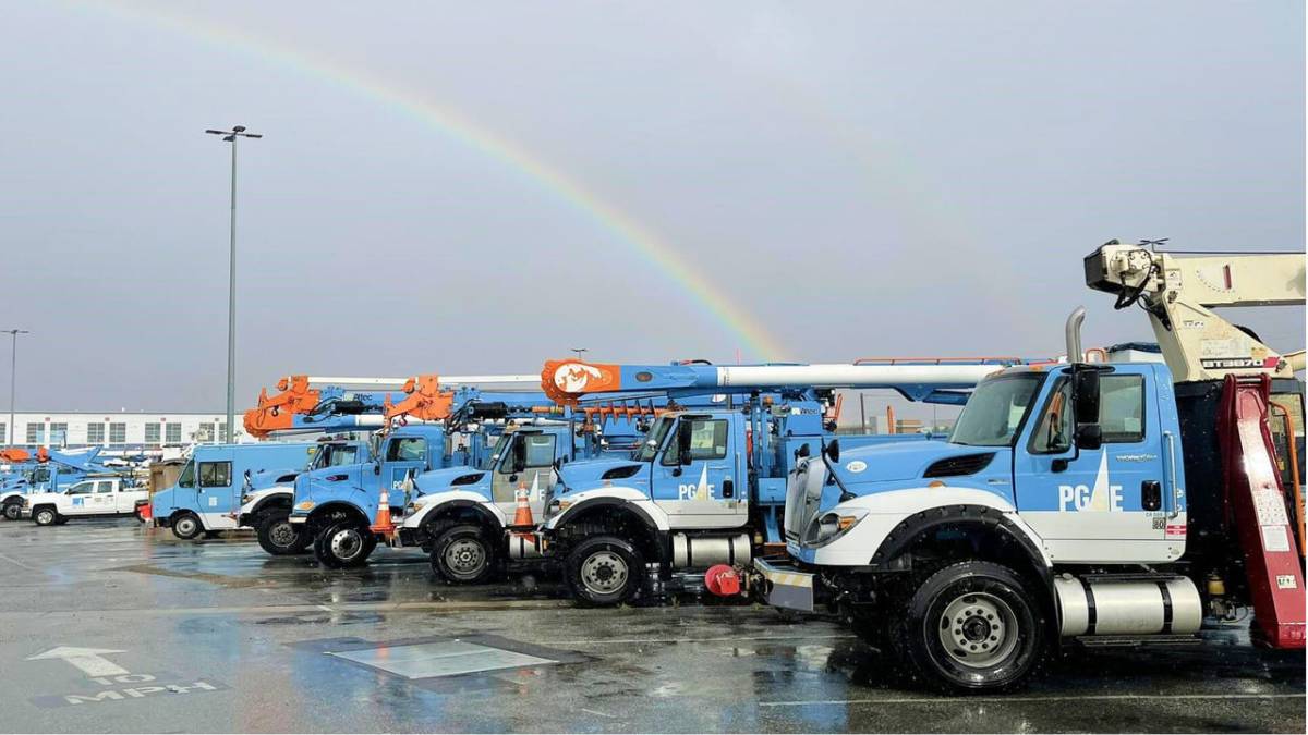 3342.jpg