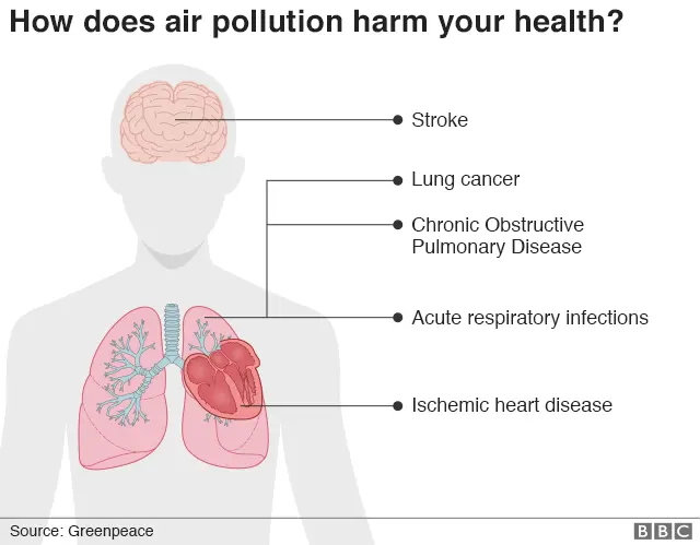 BBC:Greenpeace.png.webp