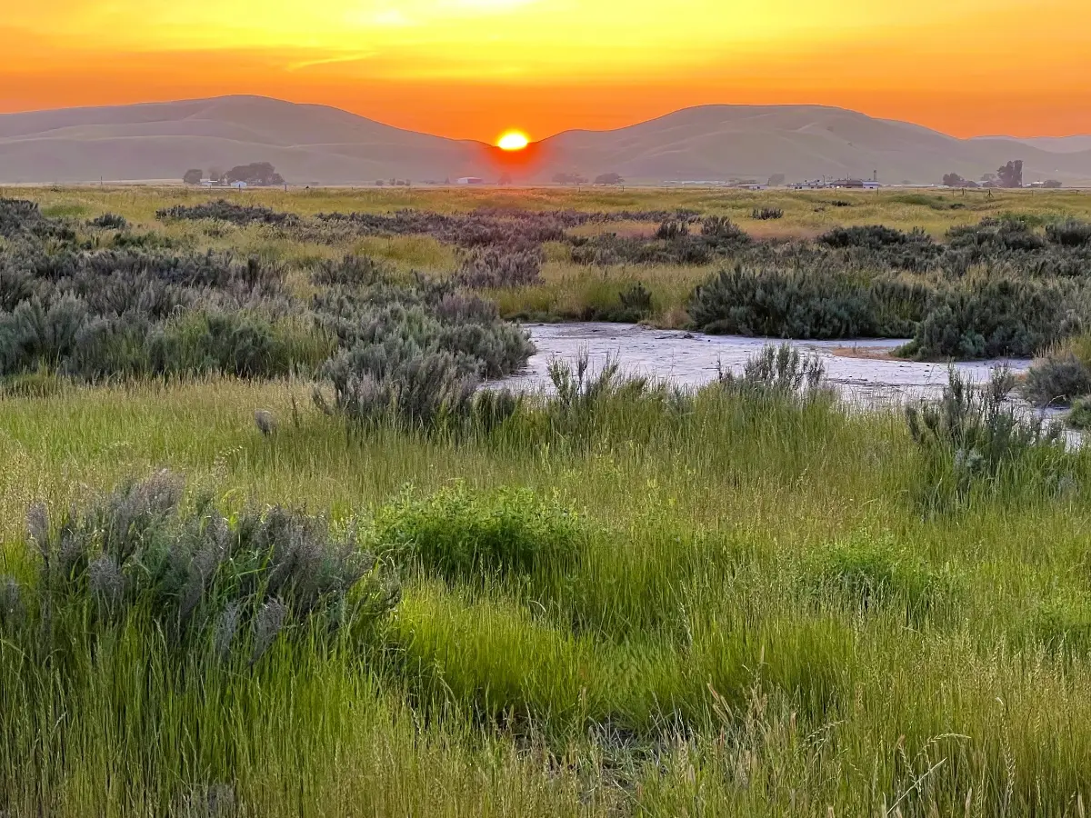 #99-Sunset+1+at+Springtown+Wetlands+-+Markus+Huber+(1).webp #99-Sunset+1+at+Springtown+Wetlands+-+Markus+Huber+(1).webp