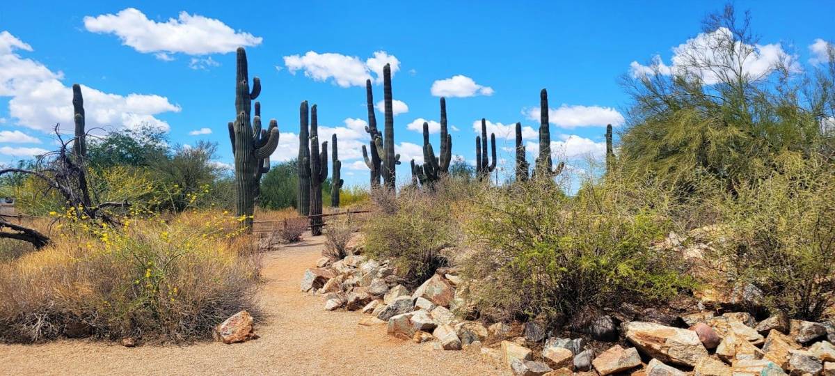 download.jpeg (image/jpeg) download.jpeg